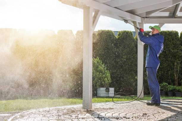 Animal Enclosure Cleaning in Pike Creek, DE
